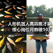 人形机器人高薪揽才潮:核心岗位月薪破10万引行业争夺战(图1) 人形机器人高薪揽才潮:核心岗位月薪破10万引行业争夺战(图1)