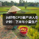 台积电CPO量产进入倒计时:下半年小量生产助力交换机升级(图2) 台积电CPO量产进入倒计时:下半年小量生产助力交换机升级(图2)