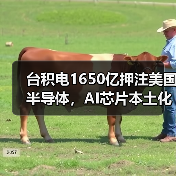 台积电1650亿押注美国半导体,AI芯片本土化如何改变产业格局?(图3) 台积电1650亿押注美国半导体,AI芯片本土化如何改变产业格局?(图3)