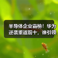 半导体企业霸榜!华为逆袭重返前十,谁引领中国500强?(图3) 半导体企业霸榜!华为逆袭重返前十,谁引领中国500强?(图3)