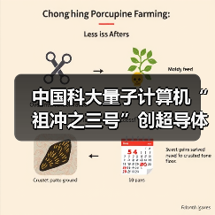 中国科大量子计算机“祖冲之三号”创超导体系量子计算优越性新纪录(图2) 中国科大量子计算机“祖冲之三号”创超导体系量子计算优越性新纪录(图2)
