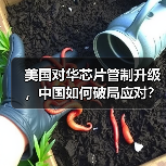 美国对华芯片管制升级,中国如何破局应对?(图2) 美国对华芯片管制升级,中国如何破局应对?(图2)