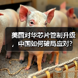 美国对华芯片管制升级,中国如何破局应对?(图1) 美国对华芯片管制升级,中国如何破局应对?(图1)