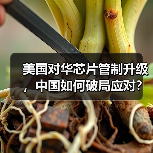 美国对华芯片管制升级,中国如何破局应对?(图3) 美国对华芯片管制升级,中国如何破局应对?(图3)