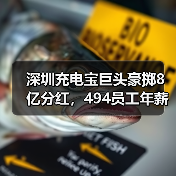 深圳充电宝巨头豪掷8亿分红,494员工年薪超百万背后有何逻辑?(图2) 深圳充电宝巨头豪掷8亿分红,494员工年薪超百万背后有何逻辑?(图2)
