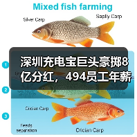 深圳充电宝巨头豪掷8亿分红,494员工年薪超百万背后有何逻辑?(图3) 深圳充电宝巨头豪掷8亿分红,494员工年薪超百万背后有何逻辑?(图3)
