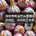 深圳充电宝巨头豪掷8亿分红,494员工年薪超百万背后有何逻辑?(图4) 深圳充电宝巨头豪掷8亿分红,494员工年薪超百万背后有何逻辑?(图4)
