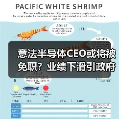 意法半导体CEO或将被免职?业绩下滑引政府干预(图3) 意法半导体CEO或将被免职?业绩下滑引政府干预(图3)