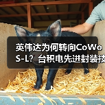 英伟达为何转向CoWoS-L?台积电先进封装技术如何突破瓶颈?(图2) 英伟达为何转向CoWoS-L?台积电先进封装技术如何突破瓶颈?(图2)