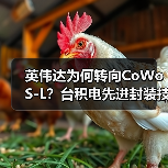 英伟达为何转向CoWoS-L?台积电先进封装技术如何突破瓶颈?(图4) 英伟达为何转向CoWoS-L?台积电先进封装技术如何突破瓶颈?(图4)
