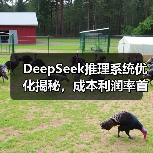 DeepSeek推理系统优化揭秘,成本利润率首度披露(图2) DeepSeek推理系统优化揭秘,成本利润率首度披露(图2)