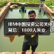 IBM中国投资公司关停背后:1800人失业,研发职能全面撤离?(图3) IBM中国投资公司关停背后:1800人失业,研发职能全面撤离?(图3)