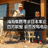 鸿海集团寻求日本车企四方联盟 能否改写电动车产业格局?(图4) 鸿海集团寻求日本车企四方联盟 能否改写电动车产业格局?(图4)