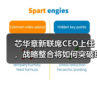 芯华章新联席CEO上任,战略整合将如何突破EDA技术壁垒?(图2) 芯华章新联席CEO上任,战略整合将如何突破EDA技术壁垒?(图2)