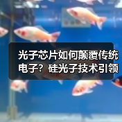 光子芯片如何颠覆传统电子?硅光子技术引领未来数据传输(图1) 光子芯片如何颠覆传统电子?硅光子技术引领未来数据传输(图1)