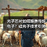 光子芯片如何颠覆传统电子?硅光子技术引领未来数据传输(图2) 光子芯片如何颠覆传统电子?硅光子技术引领未来数据传输(图2)