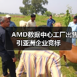AMD数据中心工厂出售引亚洲企业竞标(图3) AMD数据中心工厂出售引亚洲企业竞标(图3)