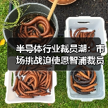 半导体行业裁员潮:市场挑战迫使恩智浦裁员5%?(图2) 半导体行业裁员潮:市场挑战迫使恩智浦裁员5%?(图2)