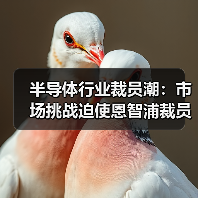 半导体行业裁员潮:市场挑战迫使恩智浦裁员5%?(图4) 半导体行业裁员潮:市场挑战迫使恩智浦裁员5%?(图4)