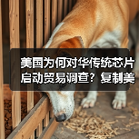 美国为何对华传统芯片启动贸易调查？复制美日协议意图何在？（图1）