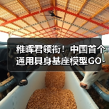 稚晖君领衔!中国首个通用具身基座模型GO-1发布(图2) 稚晖君领衔!中国首个通用具身基座模型GO-1发布(图2)