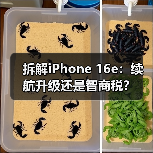 拆解iPhone 16e:续航升级还是智商税?(图3) 拆解iPhone 16e:续航升级还是智商税?(图3)