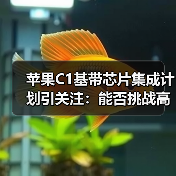 苹果C1基带芯片集成计划引关注:能否挑战高通?(图1) 苹果C1基带芯片集成计划引关注:能否挑战高通?(图1)
