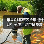苹果C1基带芯片集成计划引关注:能否挑战高通?(图2) 苹果C1基带芯片集成计划引关注:能否挑战高通?(图2)