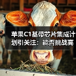 苹果C1基带芯片集成计划引关注:能否挑战高通?(图3) 苹果C1基带芯片集成计划引关注:能否挑战高通?(图3)
