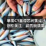 苹果C1基带芯片集成计划引关注:能否挑战高通?(图4) 苹果C1基带芯片集成计划引关注:能否挑战高通?(图4)