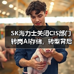 SK海力士关闭CIS部门转岗AI存储,转型背后的战略动向?(图2) SK海力士关闭CIS部门转岗AI存储,转型背后的战略动向?(图2)