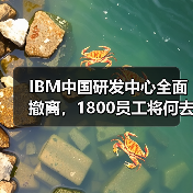 IBM中国研发中心全面撤离,1800员工将何去何从?(图1) IBM中国研发中心全面撤离,1800员工将何去何从?(图1)