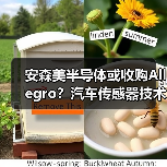 安森美半导体或收购Allegro?汽车传感器技术整合遇挑战(图1) 安森美半导体或收购Allegro?汽车传感器技术整合遇挑战(图1)
