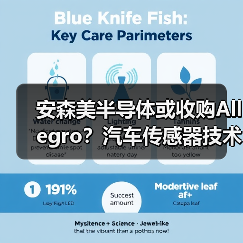 安森美半导体或收购Allegro?汽车传感器技术整合遇挑战(图3) 安森美半导体或收购Allegro?汽车传感器技术整合遇挑战(图3)