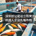 深圳新公司设立引关注 机器人企业扎堆布局(图1) 深圳新公司设立引关注 机器人企业扎堆布局(图1)