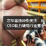 芯华章换帅引关注:双CEO助力破局行业寒冬?(图2) 芯华章换帅引关注:双CEO助力破局行业寒冬?(图2)
