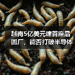 越南5亿美元建首座晶圆厂,能否打破半导体困局?(图2) 越南5亿美元建首座晶圆厂,能否打破半导体困局?(图2)