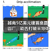 越南5亿美元建首座晶圆厂,能否打破半导体困局?(图4) 越南5亿美元建首座晶圆厂,能否打破半导体困局?(图4)
