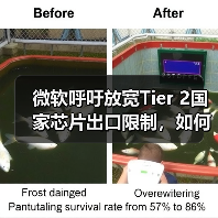 微软呼吁放宽Tier 2国家芯片出口限制，如何平衡安全与商业利益？（图1）