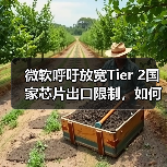 微软呼吁放宽Tier 2国家芯片出口限制，如何平衡安全与商业利益？（图2）