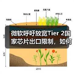 微软呼吁放宽Tier 2国家芯片出口限制，如何平衡安全与商业利益？（图4）