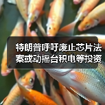 特朗普呼吁废止芯片法案或动摇台积电等投资计划?(图3) 特朗普呼吁废止芯片法案或动摇台积电等投资计划?(图3)