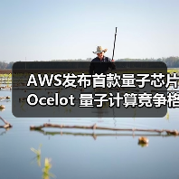 AWS发布首款量子芯片Ocelot 量子计算竞争格局生变（图1）