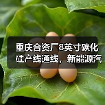 重庆合资厂8英寸碳化硅产线通线,新能源汽车供应链升级(图2) 重庆合资厂8英寸碳化硅产线通线,新能源汽车供应链升级(图2)