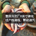 重庆合资厂8英寸碳化硅产线通线,新能源汽车供应链升级(图1) 重庆合资厂8英寸碳化硅产线通线,新能源汽车供应链升级(图1)