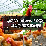 华为Windows PC停供,鸿蒙系统即将崛起(图2) 华为Windows PC停供,鸿蒙系统即将崛起(图2)