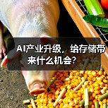 AI产业升级,给存储带来什么机会?(图3) AI产业升级,给存储带来什么机会?(图3)
