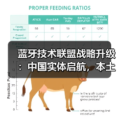 蓝牙技术联盟战略升级：中国实体启航，本土创新驱动全球连接新范式（图2）