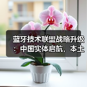 蓝牙技术联盟战略升级：中国实体启航，本土创新驱动全球连接新范式（图3）