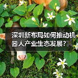 深圳新布局如何推动机器人产业生态发展?(图1) 深圳新布局如何推动机器人产业生态发展?(图1)